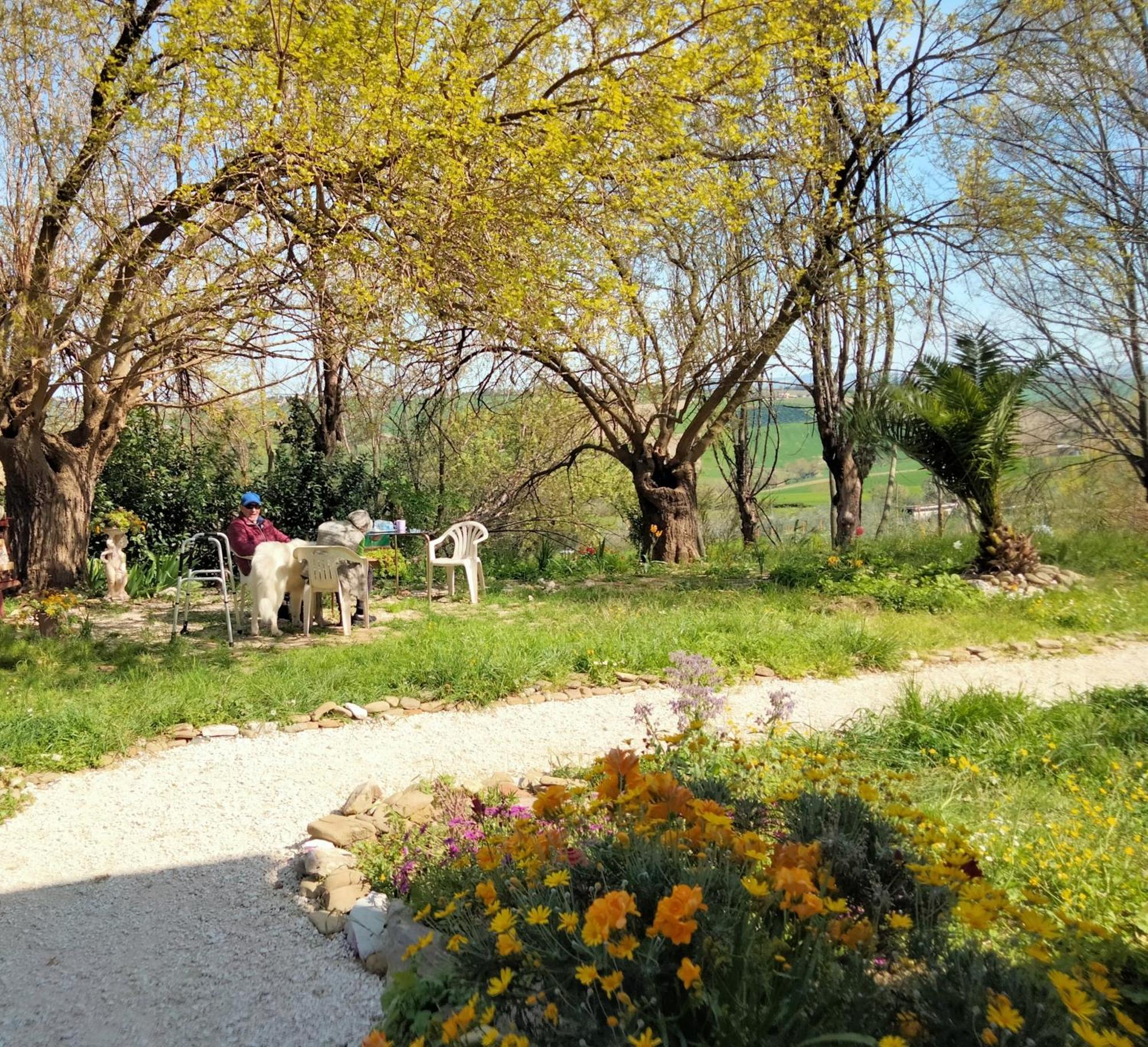 Маrche B&B Belvedere Ostrense Экстерьер фото