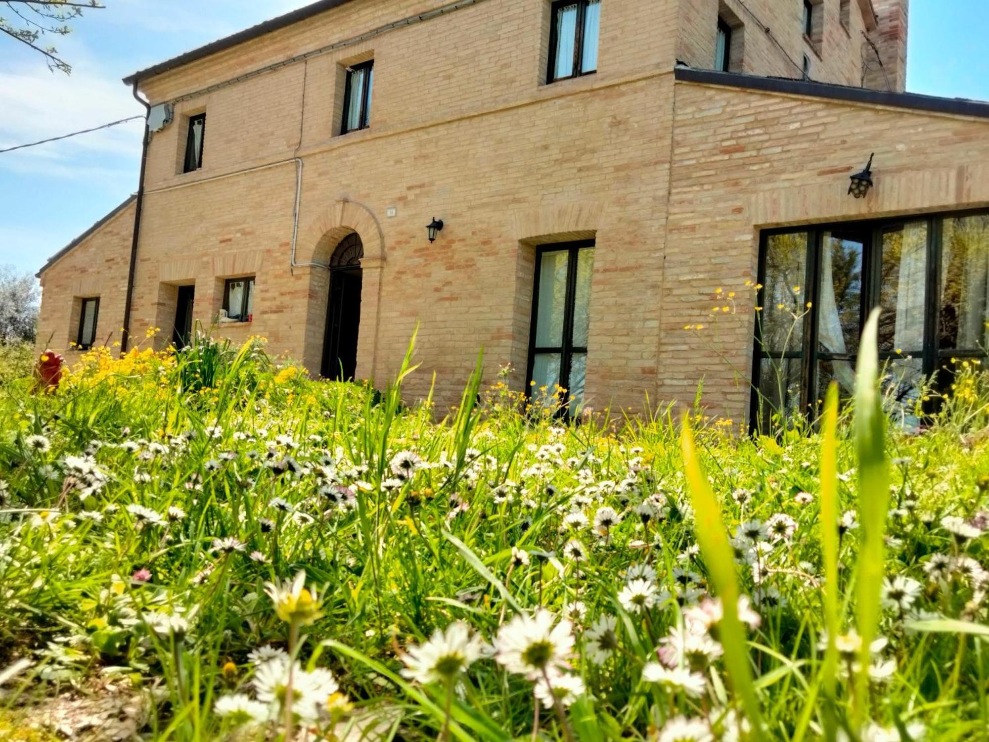 Маrche B&B Belvedere Ostrense Экстерьер фото